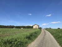 21st - Paulie heads out on her own for a 20km pedal up what the duo call "One Tree Hill" near Le Ségalar Bas