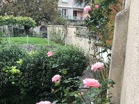 An unseasonably warm autumn confuses the roses at La Cachette