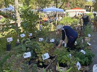 Returning to Saint Antonin, Paulie and Stephen dropped in on sa foire aux plantes biannuelle Jardin Noble-Val (bi-annual plant fair) across the road from their house.