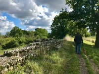 A short drive to Silchester in Hampshire made for a lovely long walk with Socks. Old Roman walls remain of what was a large town.