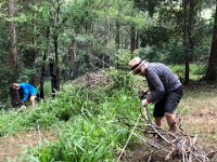 When purchased in 2024, the property was overrun and had literally tons of rubbish including a number of caravans hidden under lantana.