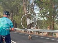 VIDEO - 25th - on one of Shari & Pete's mountain cycles around Adelaide they met a local.