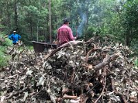 There is work to do. Burning off some of the weeds and invasive species that Pete has removed over the months.