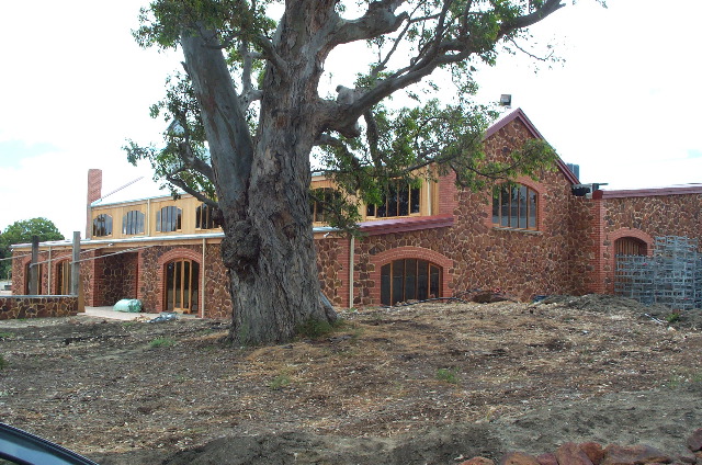 The Wirra Wirra Vineyard