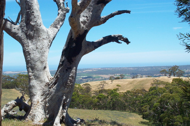 McLaren Vale & out to sea