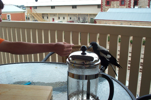 Breakfast guests