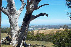 McLaren Vale & out to sea