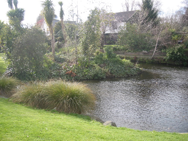 View from the school