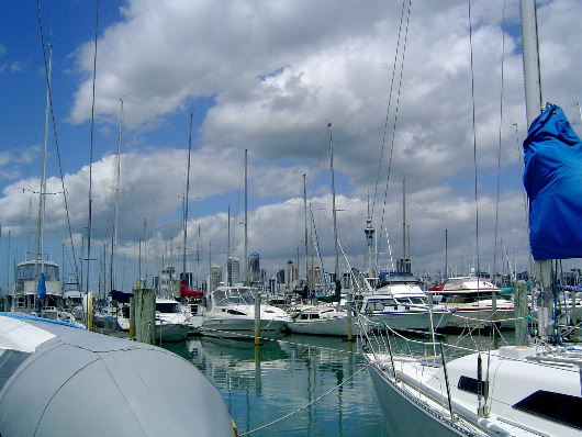 The marina- Captain Bill hits the water