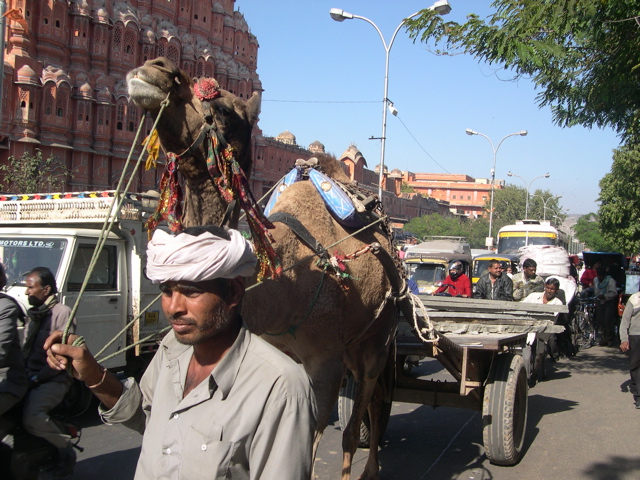 Local transport outside the Palace of the Winds