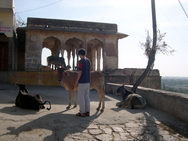 A walk up teh hills of Jaipur to the Sun Temple