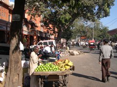 The streets of Jaipur