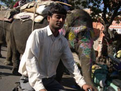 The diverse streets of Jaipur