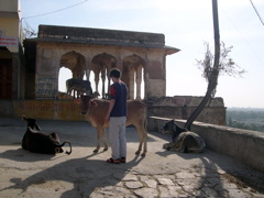 A walk up teh hills of Jaipur to the Sun Temple