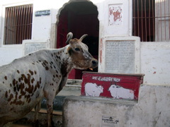 Temple 