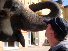 Jim and Stephen chat to BoBo