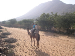 Camel safari around Pushkar