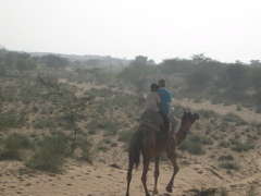 Camel safari around Pushkar