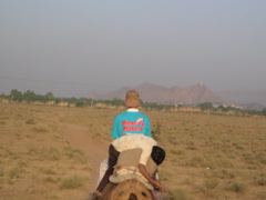 Dozing on safari