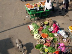 In and around the streets of Pushkar