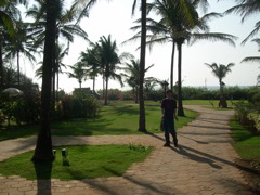 Jim and Stephen arrive in Goa