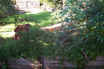 Neigbourly bondng (and a chainsaw) cleared the street