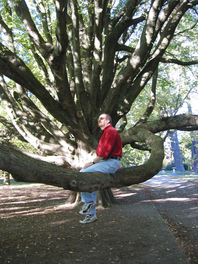 A break in the gardens