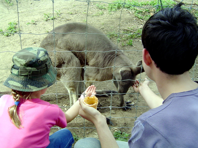 A quick vist to the zoo near Pokolbin