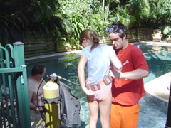 Dive classes in the resort pool