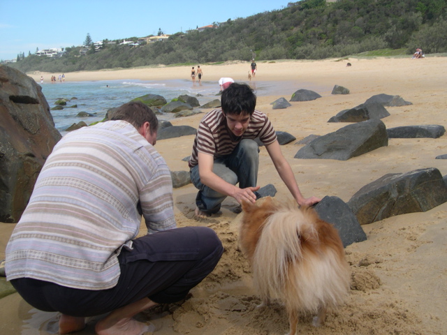 Jim has the idea for an eco-installation