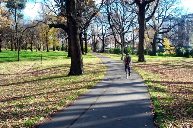 Jim and Stephen head through Hagley Park to get their rental car