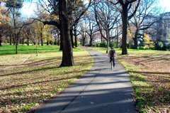 Jim and Stephen head through Hagley Park to get their rental car