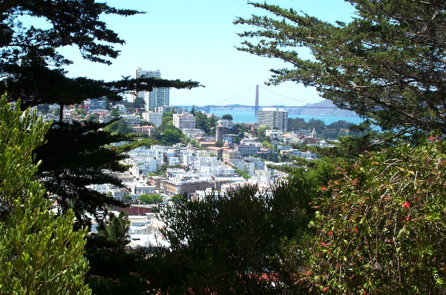 The view from Coit Tower