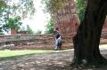 Wat Mahathat, Ayutthaya